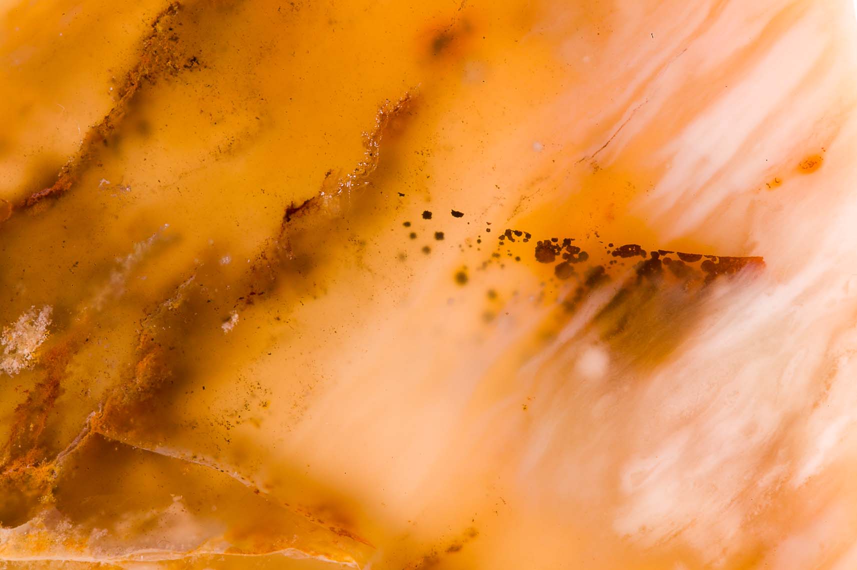 Brazilian agate 01DNG.jpg