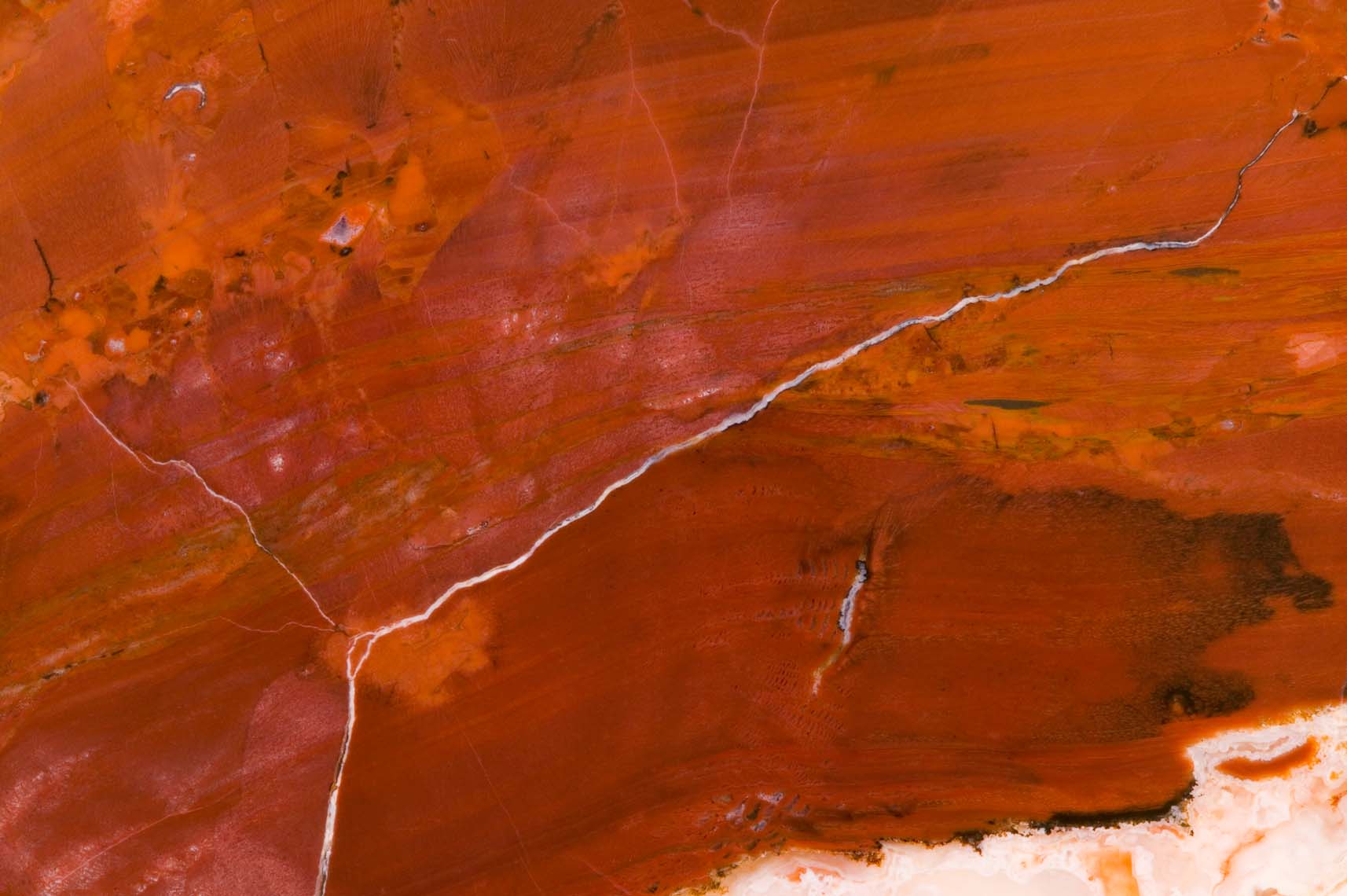 Thunderegg 11_base.jpg